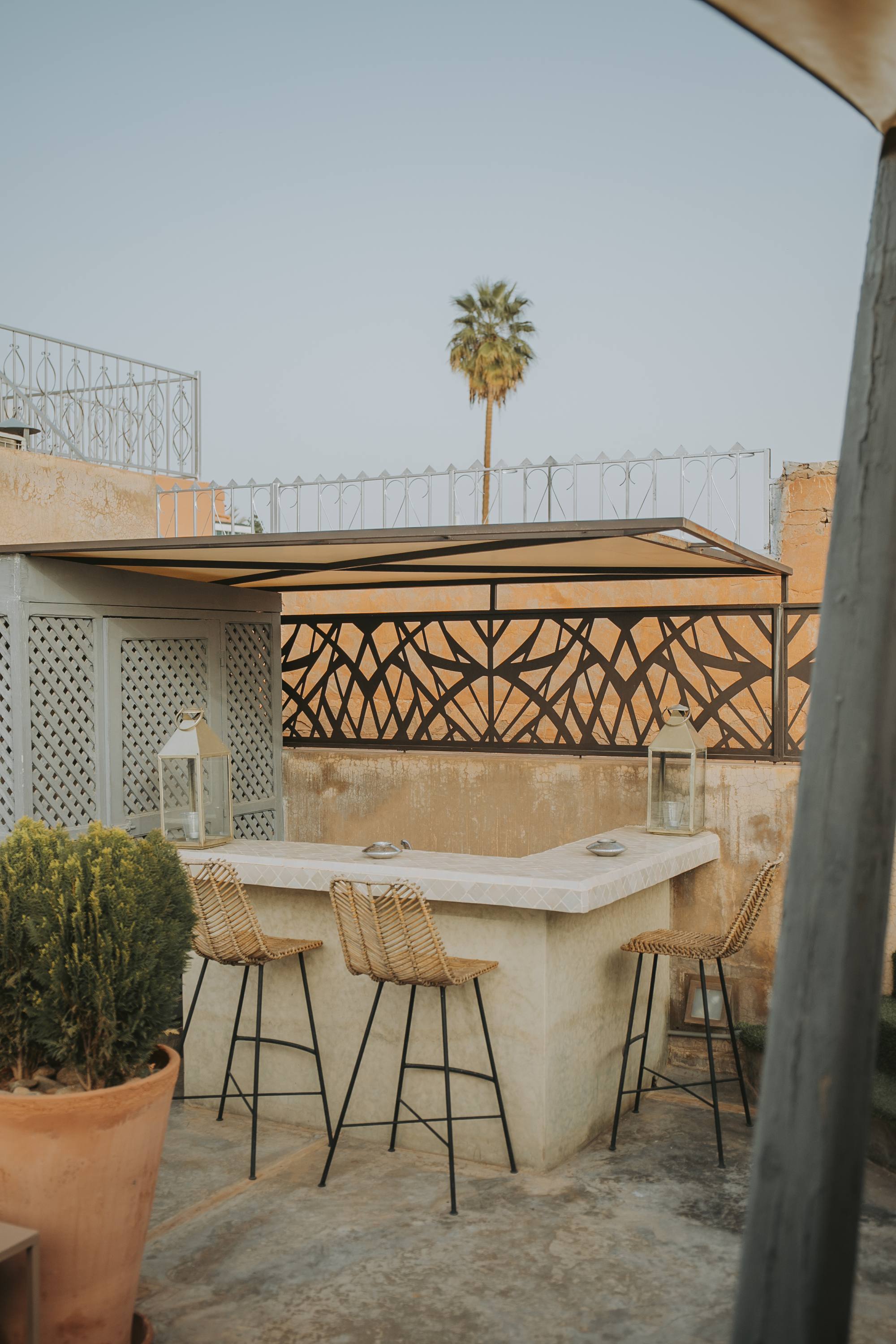 La terrasse sur les toits au crépuscule — bar et coin repas, palmier, face à la médina